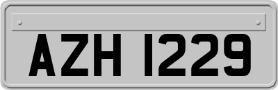 AZH1229