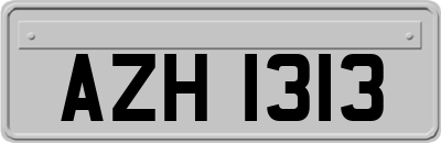 AZH1313