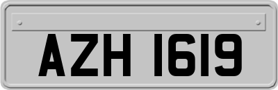 AZH1619