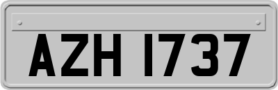 AZH1737