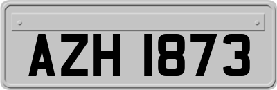 AZH1873