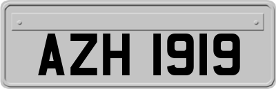 AZH1919