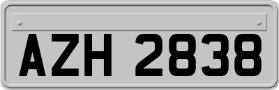 AZH2838