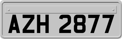 AZH2877