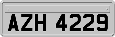 AZH4229