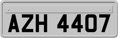 AZH4407