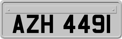 AZH4491
