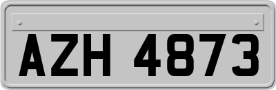 AZH4873