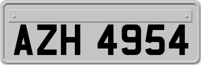 AZH4954