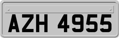 AZH4955