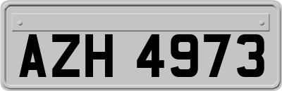 AZH4973