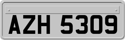 AZH5309