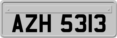 AZH5313
