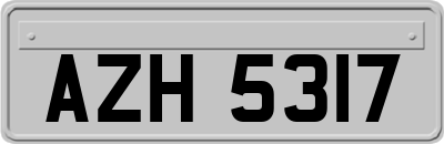 AZH5317