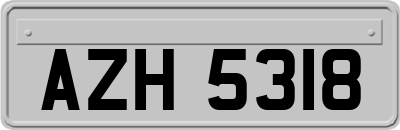 AZH5318