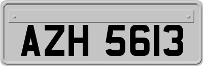 AZH5613