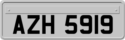 AZH5919