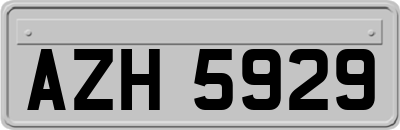 AZH5929