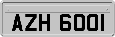 AZH6001