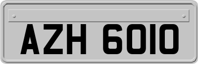 AZH6010