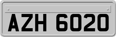 AZH6020