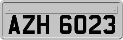 AZH6023