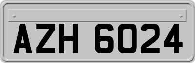 AZH6024