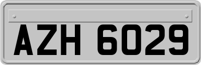 AZH6029