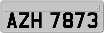 AZH7873