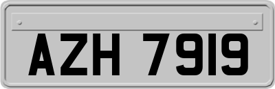 AZH7919