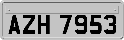 AZH7953