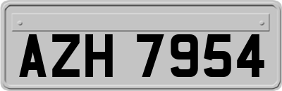 AZH7954
