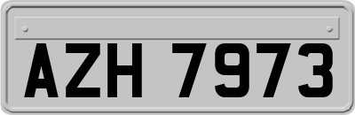 AZH7973
