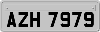 AZH7979