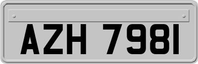 AZH7981