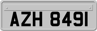 AZH8491