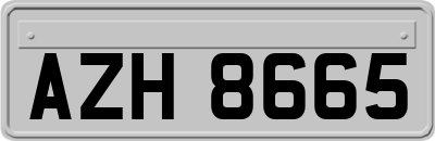 AZH8665