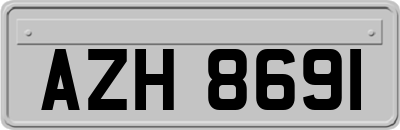AZH8691