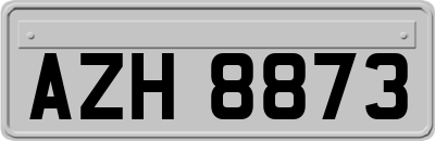 AZH8873