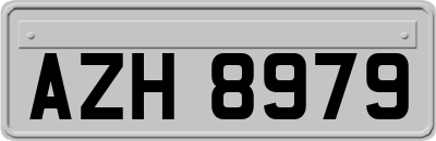 AZH8979