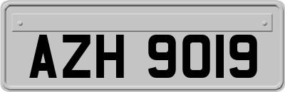 AZH9019