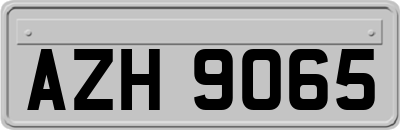 AZH9065