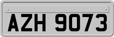 AZH9073