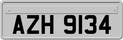 AZH9134
