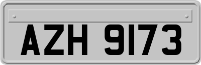 AZH9173