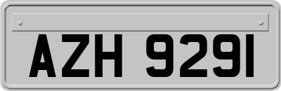 AZH9291