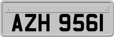 AZH9561