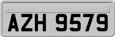 AZH9579
