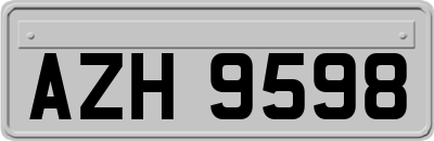 AZH9598