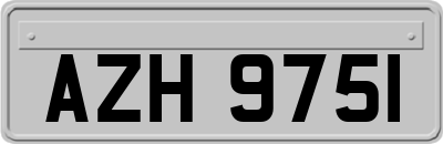 AZH9751